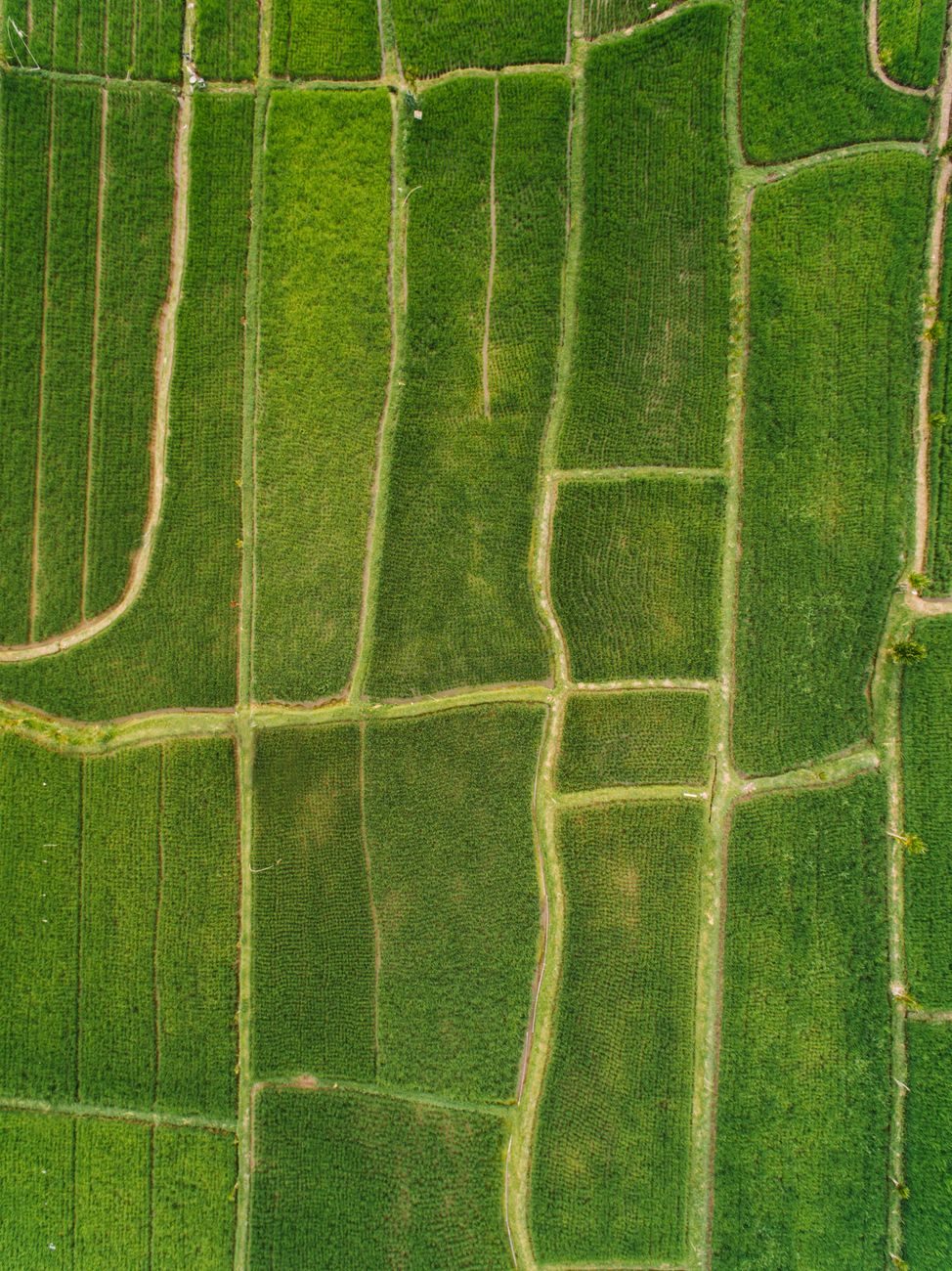 Agricultural biotech — AI knowledge base