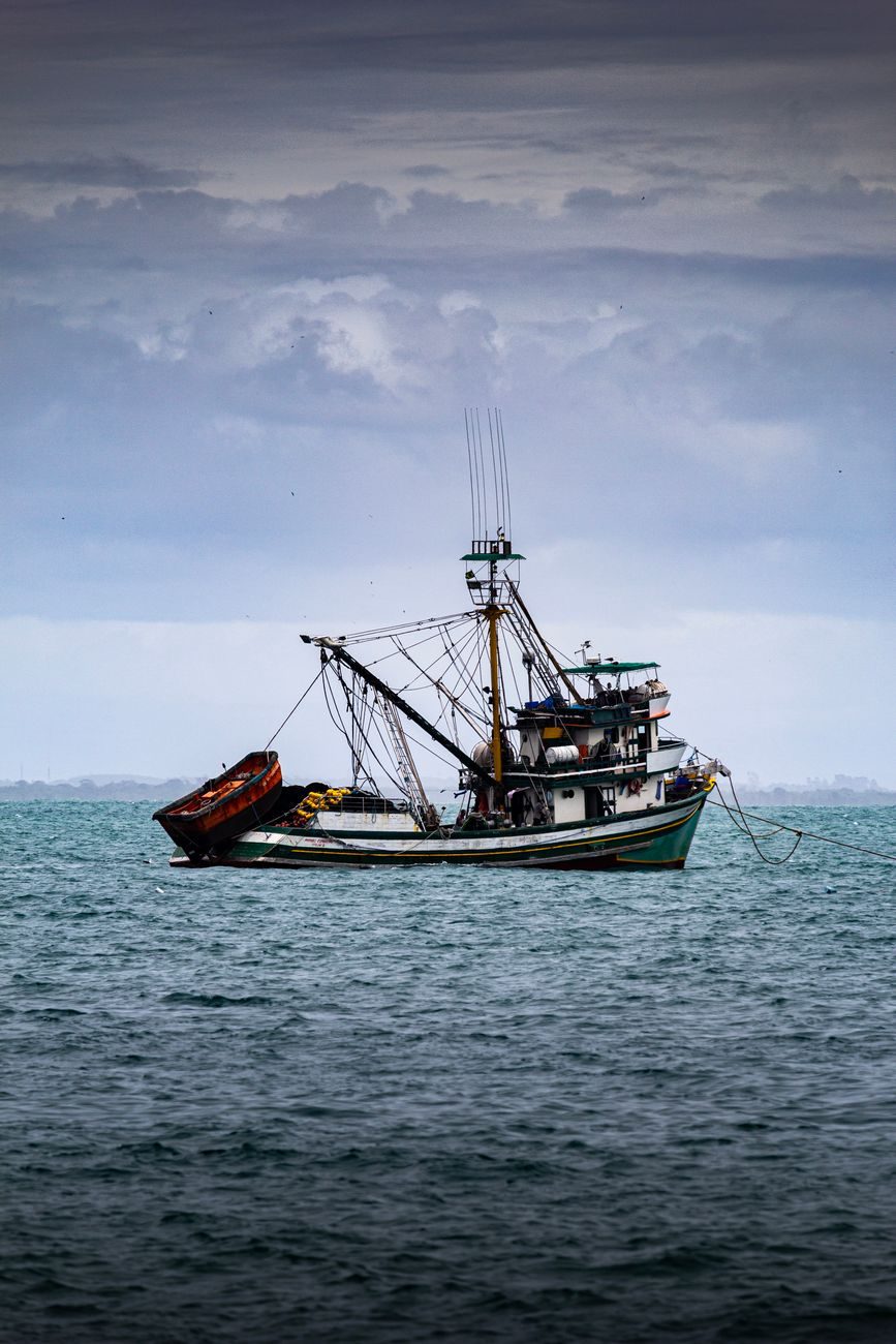 Seafood processing — production accounting system case study